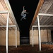 Kay Kelly Photo 21