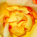 Lisa Bright Photo 18