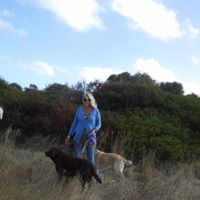 Vicki Foster Photo 18
