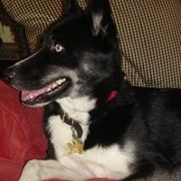 Malinda Cook Photo 20