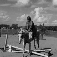 Jerri Schmidt Photo 7