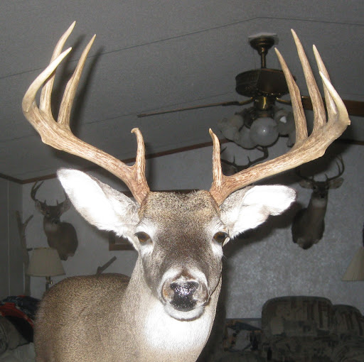 Carl Whitehead Photo 11