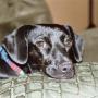 Cindy Huber Photo 20