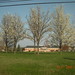 Glen Hall Photo 23