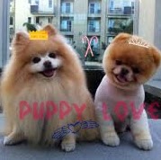 Sharon Bunch Photo 17