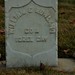 William Rowland Photo 22
