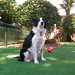 Julie Borders Photo 16