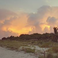 Mark Sapp Photo 38