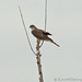 Kenneth Sharp Photo 15