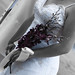 Ann Garrett Photo 22