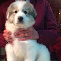 Susan Reuter Photo 22