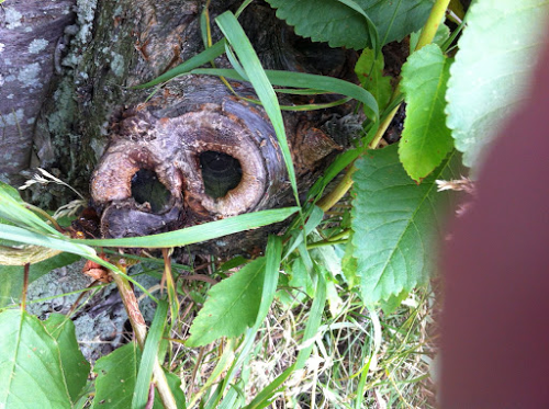 Mary Mccauley Photo 28