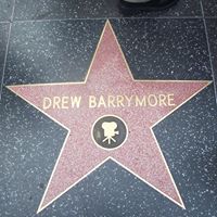 Drew Stone Photo 36