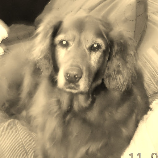 Martha Mendenhall Photo 5