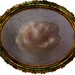 Carole Rose Photo 14