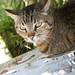 Wanda Goins Photo 13