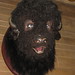 Wendall Robinson Photo 10