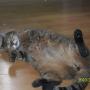 Julie Fortin Photo 39