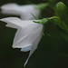 Mary Mayfield Photo 24