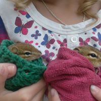 Sandra Asselin Photo 2