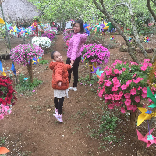 Quan Nguyen Photo 29