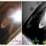 Haley Swaim Photo 3