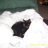 Cathy Markham Photo 8