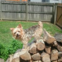 Sharon Holt Photo 32