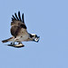 Mark Baird Photo 23