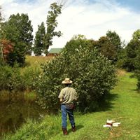 John Conte Photo 11