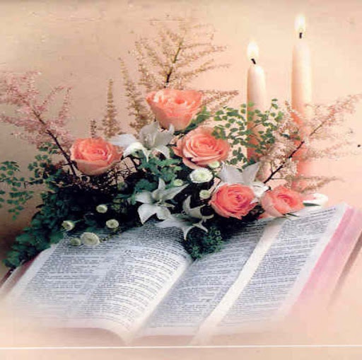 Linda Perkins Photo 34