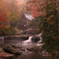 Tonya Todd Photo 35