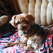 Norman Benson Photo 23