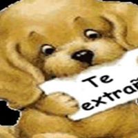 Nellie Duarte Photo 4