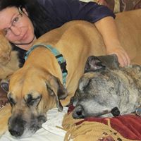 Ann Potter Photo 39