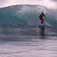 David Fryer Photo 10