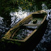 Carl Langley Photo 18