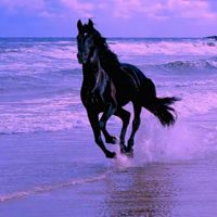 Cynthia Bloch Photo 4