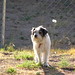 Zeke Russell Photo 6