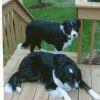 Jerry Crabtree Photo 36