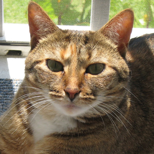 Martha Patterson Photo 7