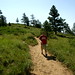Alan Cohn Photo 31