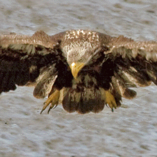 James Foss Photo 14