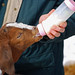 Janet Doe Photo 32