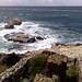 Regina Capo Photo 8