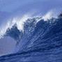 Joy Waldrop Photo 4
