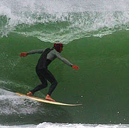 Alan Robb Photo 26