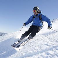 David Rosenthal Photo 31