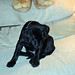 Elizabeth Boyer Photo 23