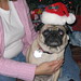 Teresa Bailey Photo 20